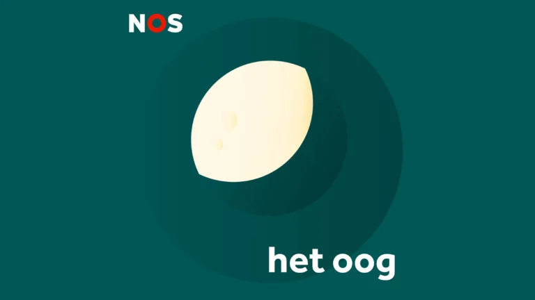 NOS Met het Oog op Morgen: Entrepreneur Gerard Zondervan aims to establish a munitions factory in the Netherlands to ensure the country’s self-sufficiency in defense