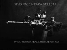 Si vis pacem, para bellum